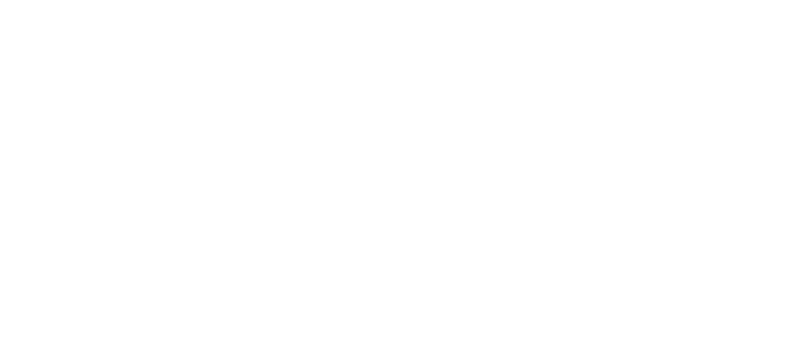 zSpace